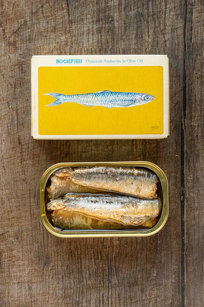 Rockfish Plymouth Anchovies in Olive Oil
